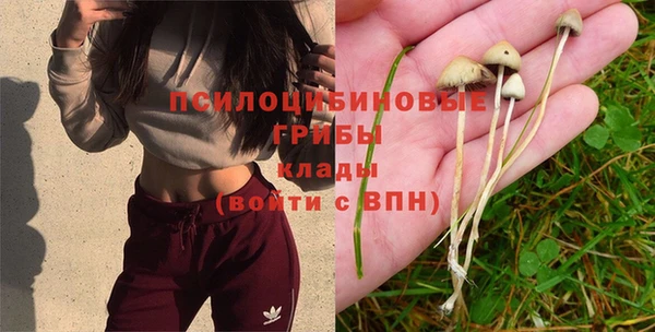 кокс Струнино
