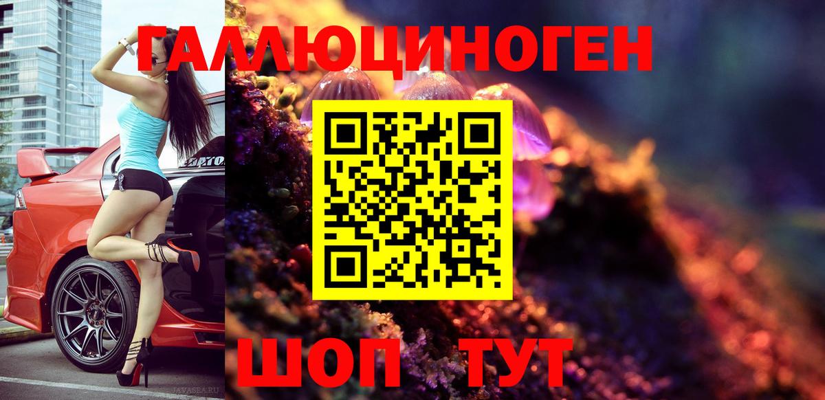 Псилоцибиновые грибы Cubensis Верхняя Пышма