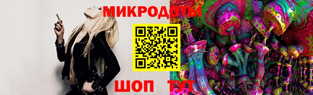 Псилоцибиновые грибы прущие грибы Верхняя Пышма